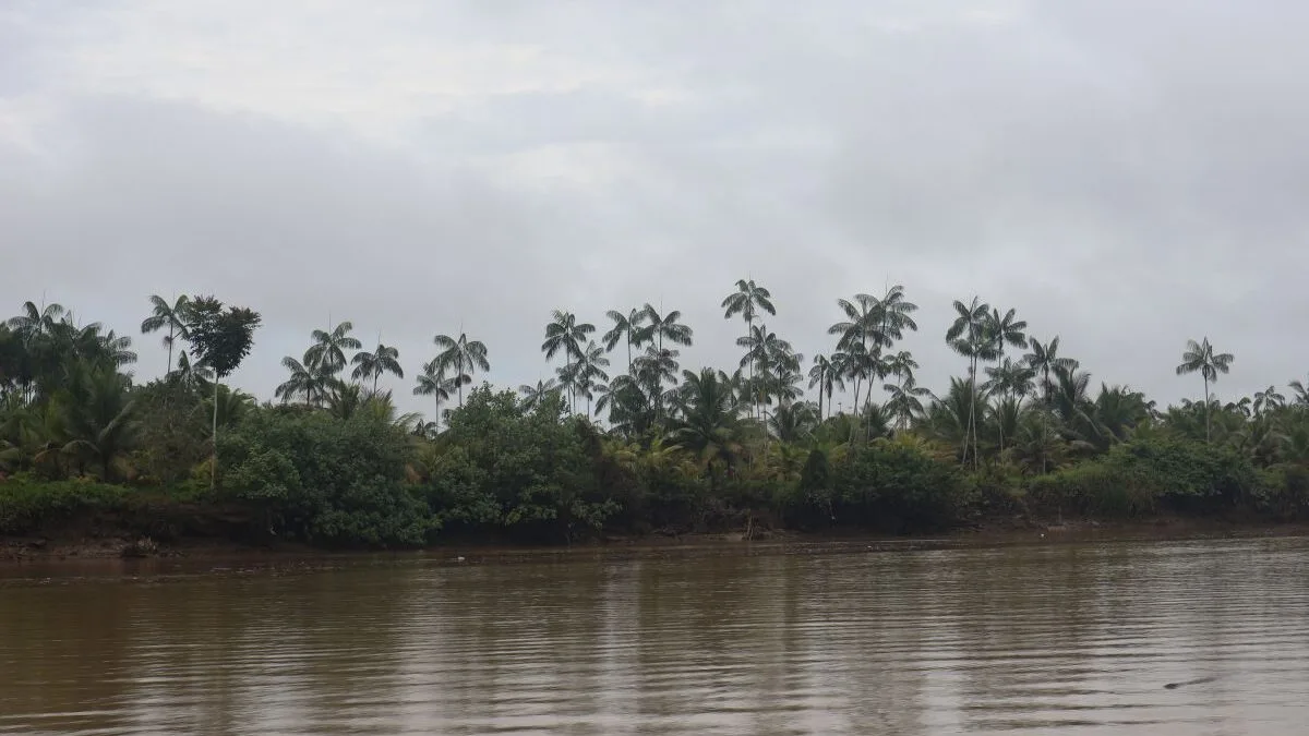 Colombia farmea aura