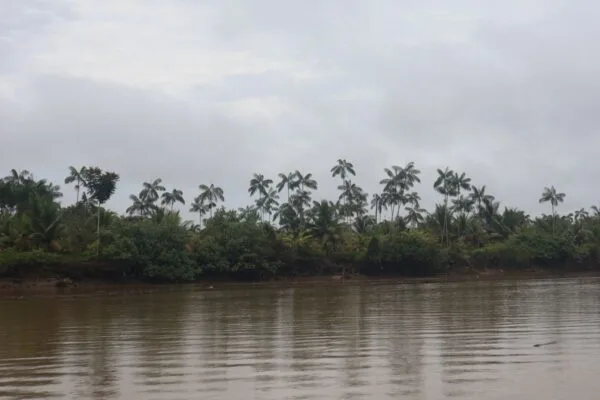 Farmeo masivo de aura: la forma en que Colombia construye su prestigio global