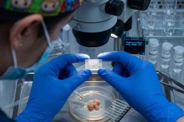 Biotecnología con sello nacional: la Universidad CES desarrolla chips que simulan órganos humanos