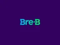 El sello Bre-B: por qué la disciplina visual es el activo más valioso del ecosistema de pagos