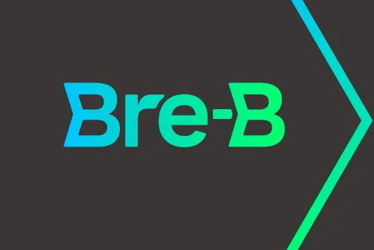 De la lección de Bre-B a tu negocio: Por qué la uniformidad visual es una estrategia de ventas y no un capricho gráfico